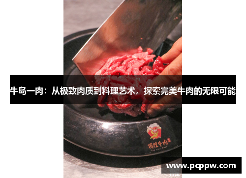 牛岛一肉：从极致肉质到料理艺术，探索完美牛肉的无限可能