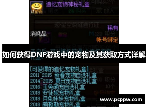 如何获得DNF游戏中的宠物及其获取方式详解